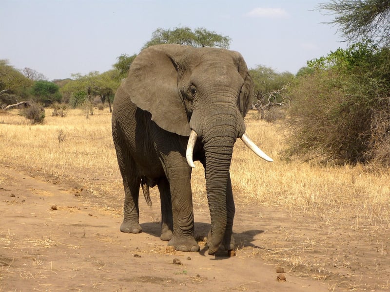 Kruger National Park